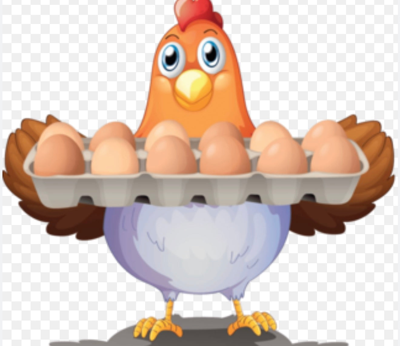 Scrambled eggs